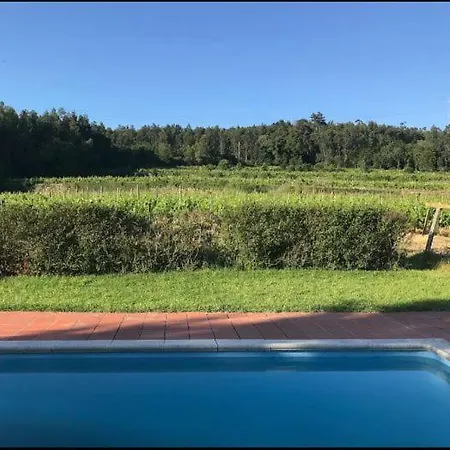 Casa De Sao Cristovao - 4r And Private Swimmingpool Holiday home
